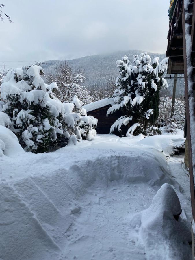 Hotel Садиба "У Чубчика" Jaremče Esterno foto