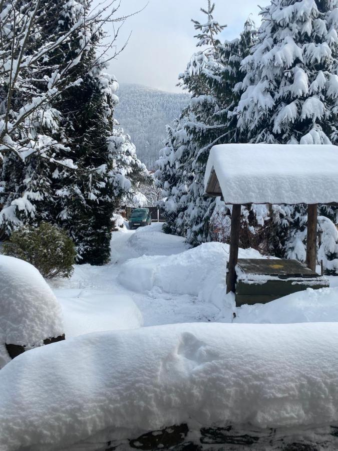 Hotel Садиба "У Чубчика" Jaremče Esterno foto