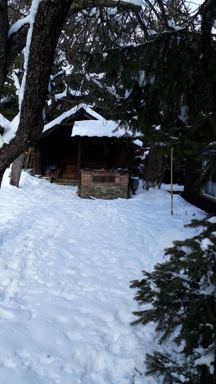 Hotel Садиба "У Чубчика" Jaremče Esterno foto